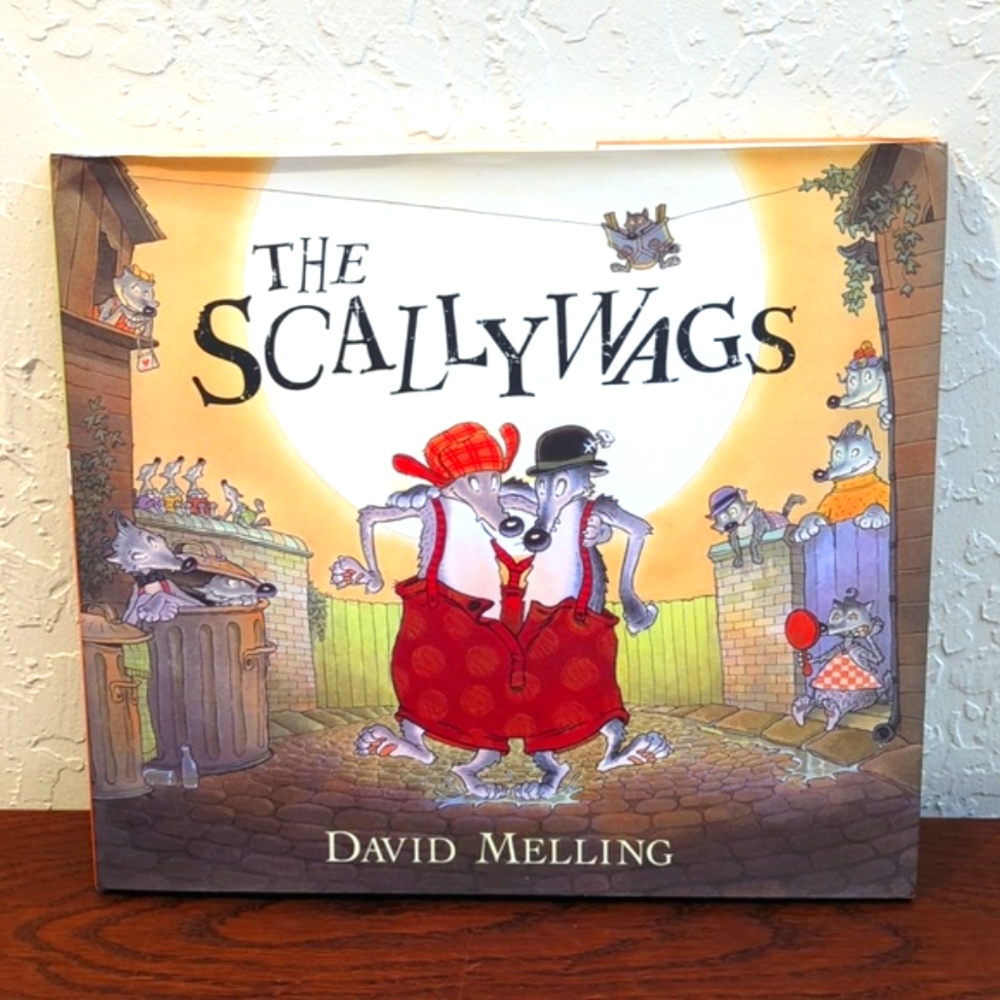3/$20🌟 The Scallywag's Children's Hardcover Picture Book by David Melling